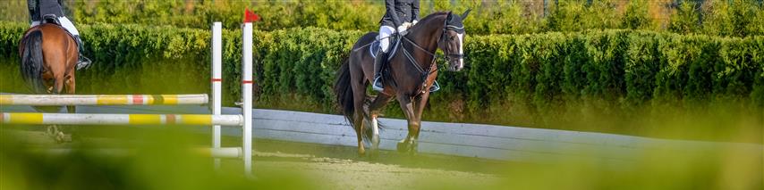 equestrian event insurance Shearwater Insurance