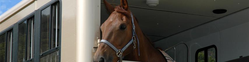 horsebox and horse transporter insurance from shearwater insurance