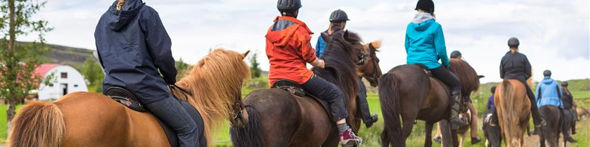 pony trekking insurance - shearwater insurance