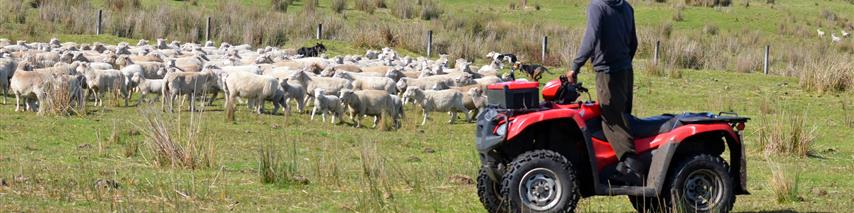 farm quad bike insurance