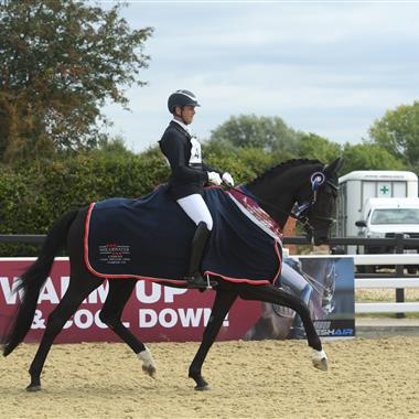 Shearwater Young Horse Champion 2019