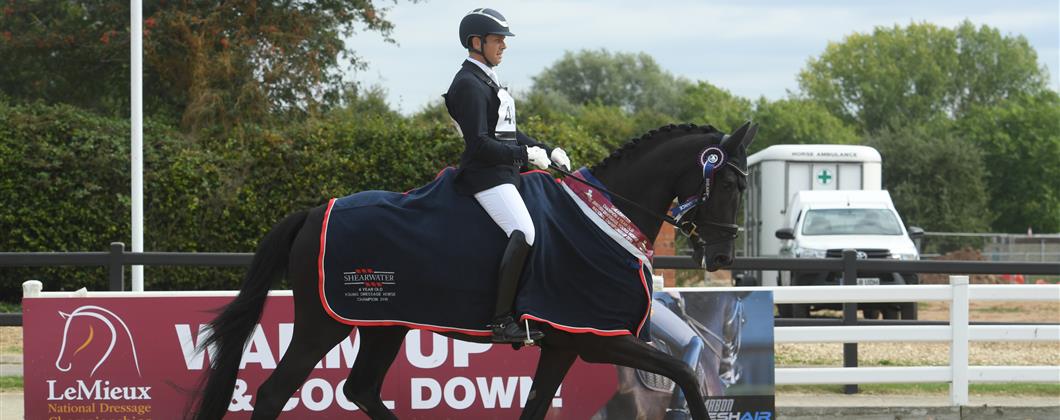 Shearwater Young Horse Champion 2019