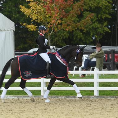 Shearwater 6 Year Old Champion 2019