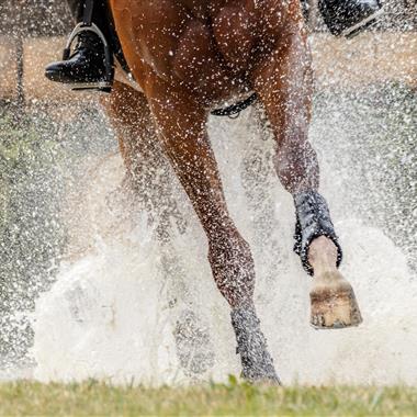 Dressage Event