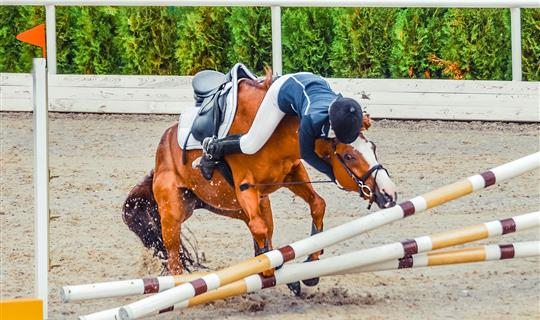 Personal Accident For Horse Riders