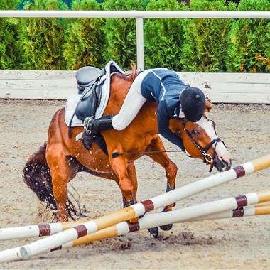 Personal Accident For Horse Riders